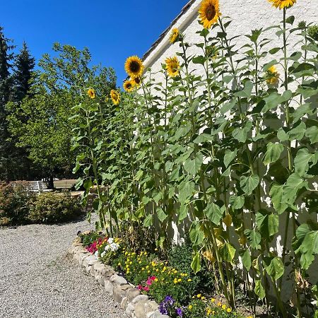 Bed and Breakfast Le Cheval Blanc Serres  Exterior foto