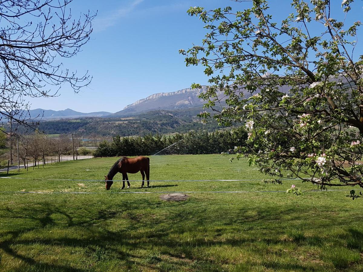 Bed and Breakfast Le Cheval Blanc Serres  Exterior foto