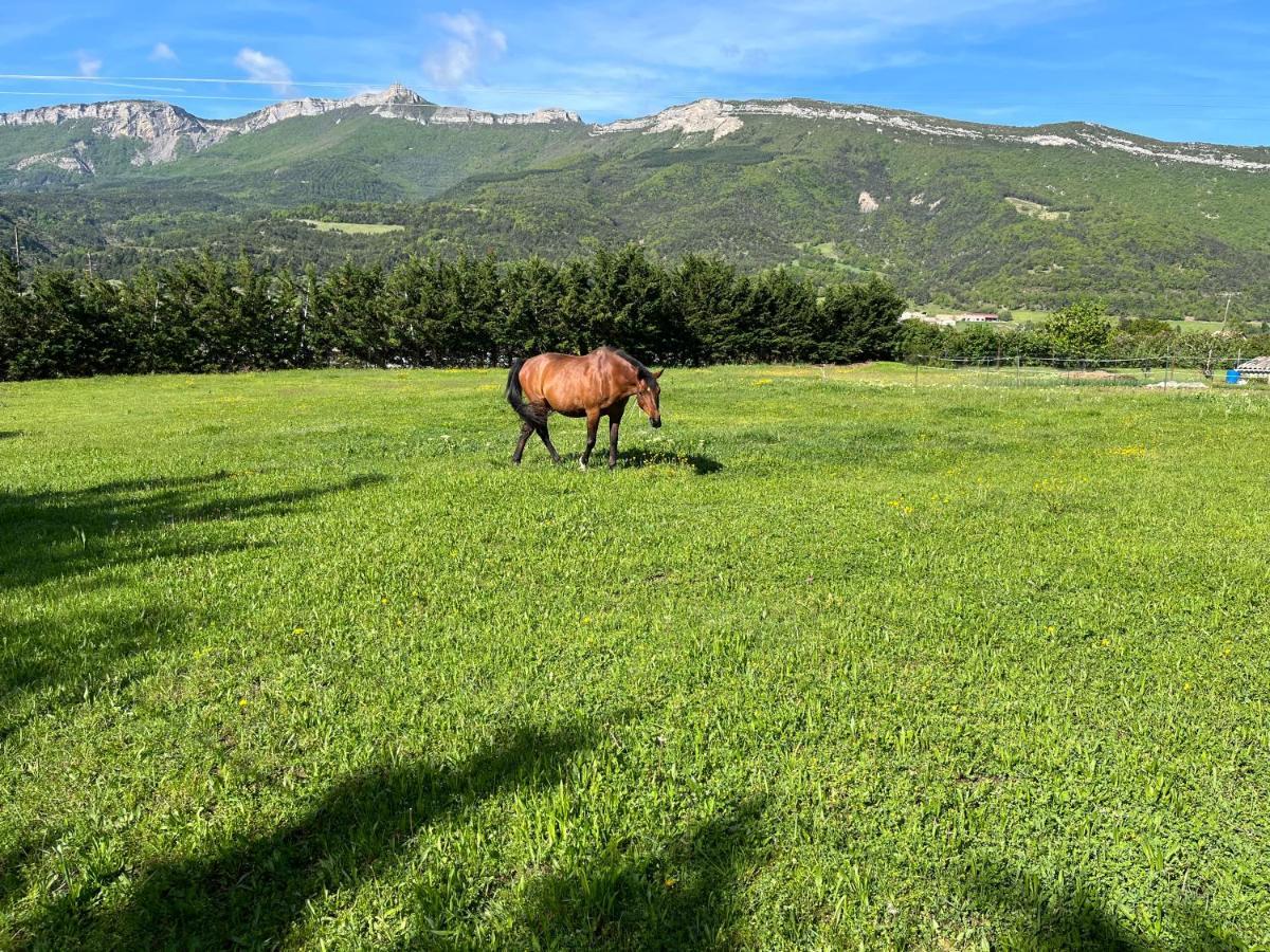 Bed and Breakfast Le Cheval Blanc Serres  Exterior foto